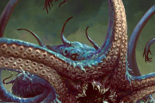 Kraken kraken link24 info