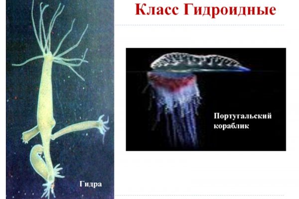 Кракен вход ссылка онион in.kramp.cc