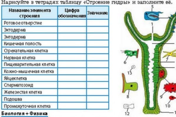 Ссылка кракен сайт зеркало